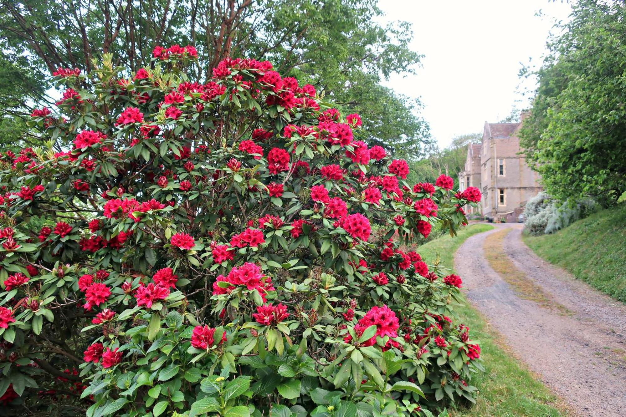 Haslington House Malvern Wells Exterior foto